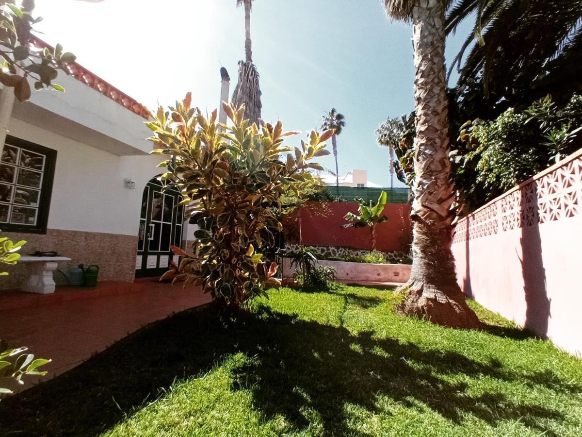 Finca Los Pajaritos Villa Icod De Los Vinos Exterior photo